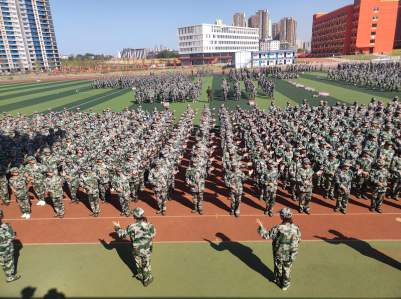 1665625399937016926.png 图片1.png